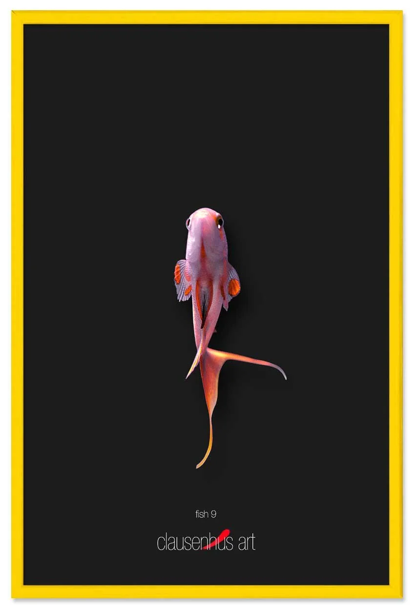fish-9-copy.jpg