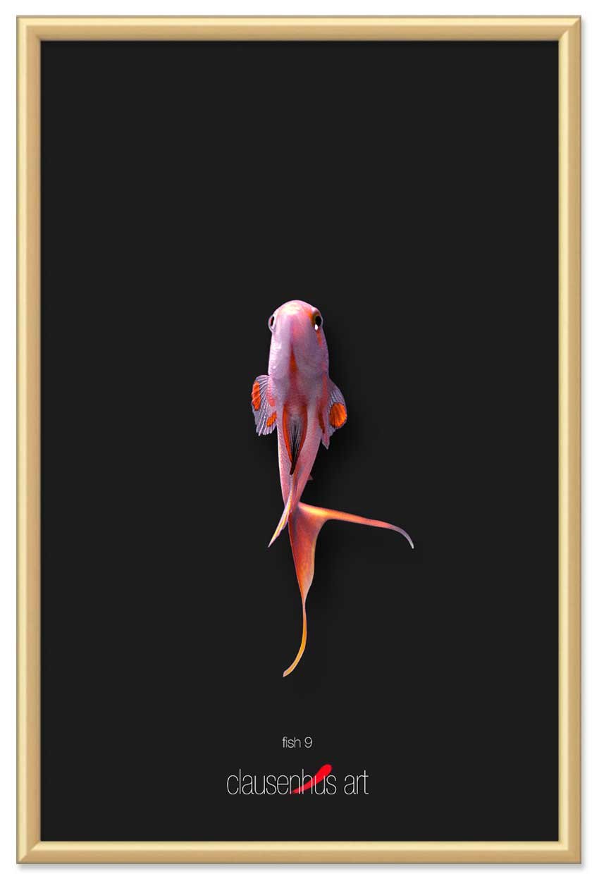 fish-9-copy.jpg