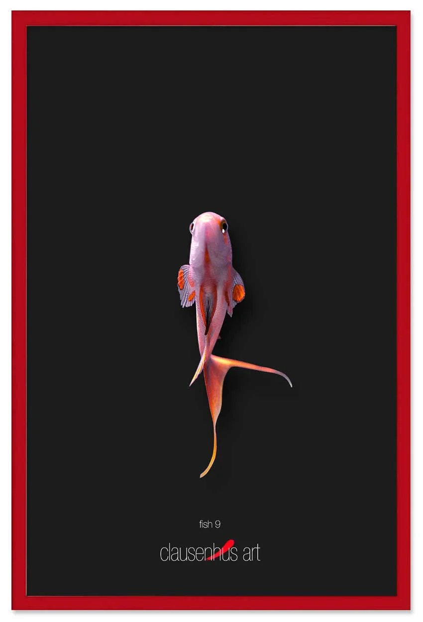 fish-9-copy.jpg