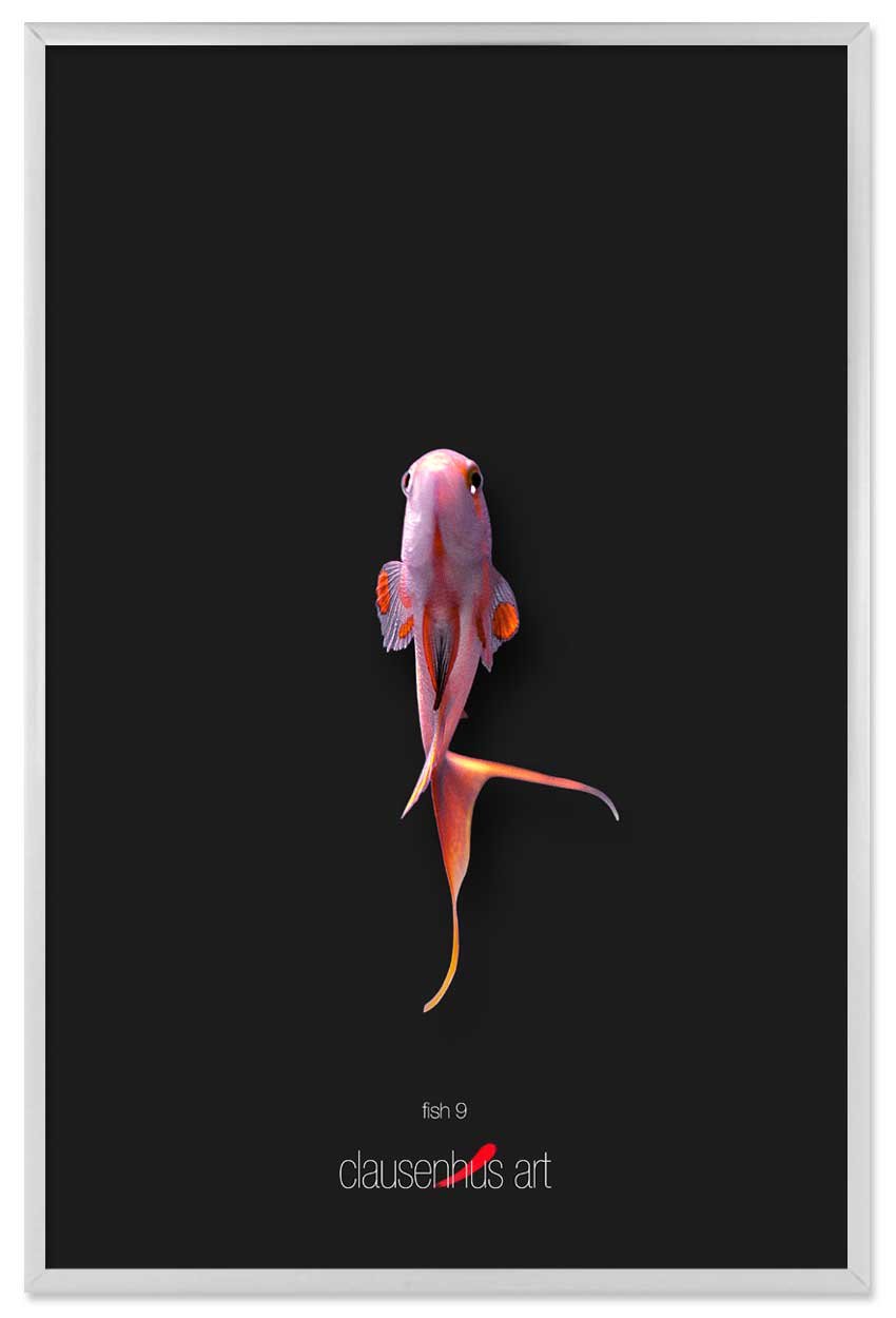 fish-9-copy.jpg