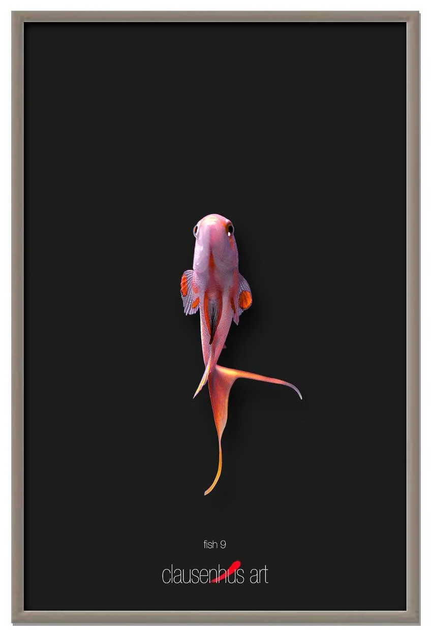 fish-9-copy.jpg