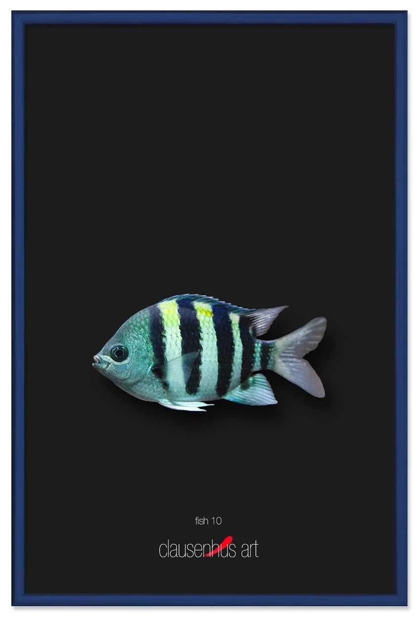 fish-10-copy.jpg