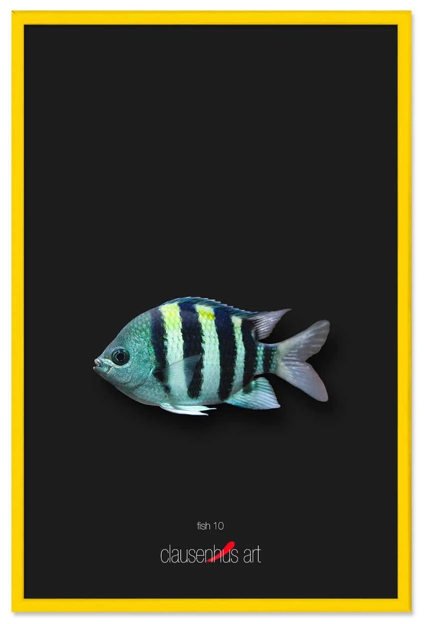 fish-10-copy.jpg