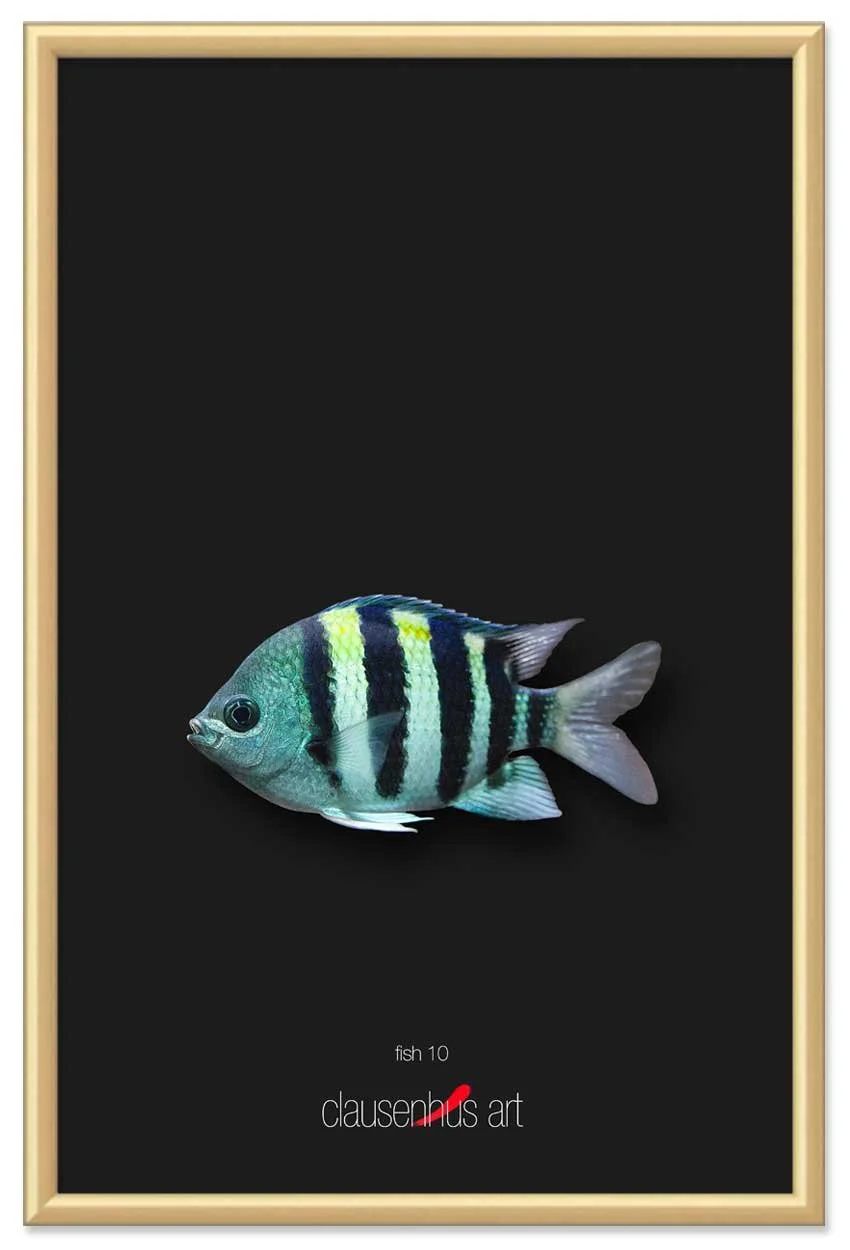 fish-10-copy.jpg