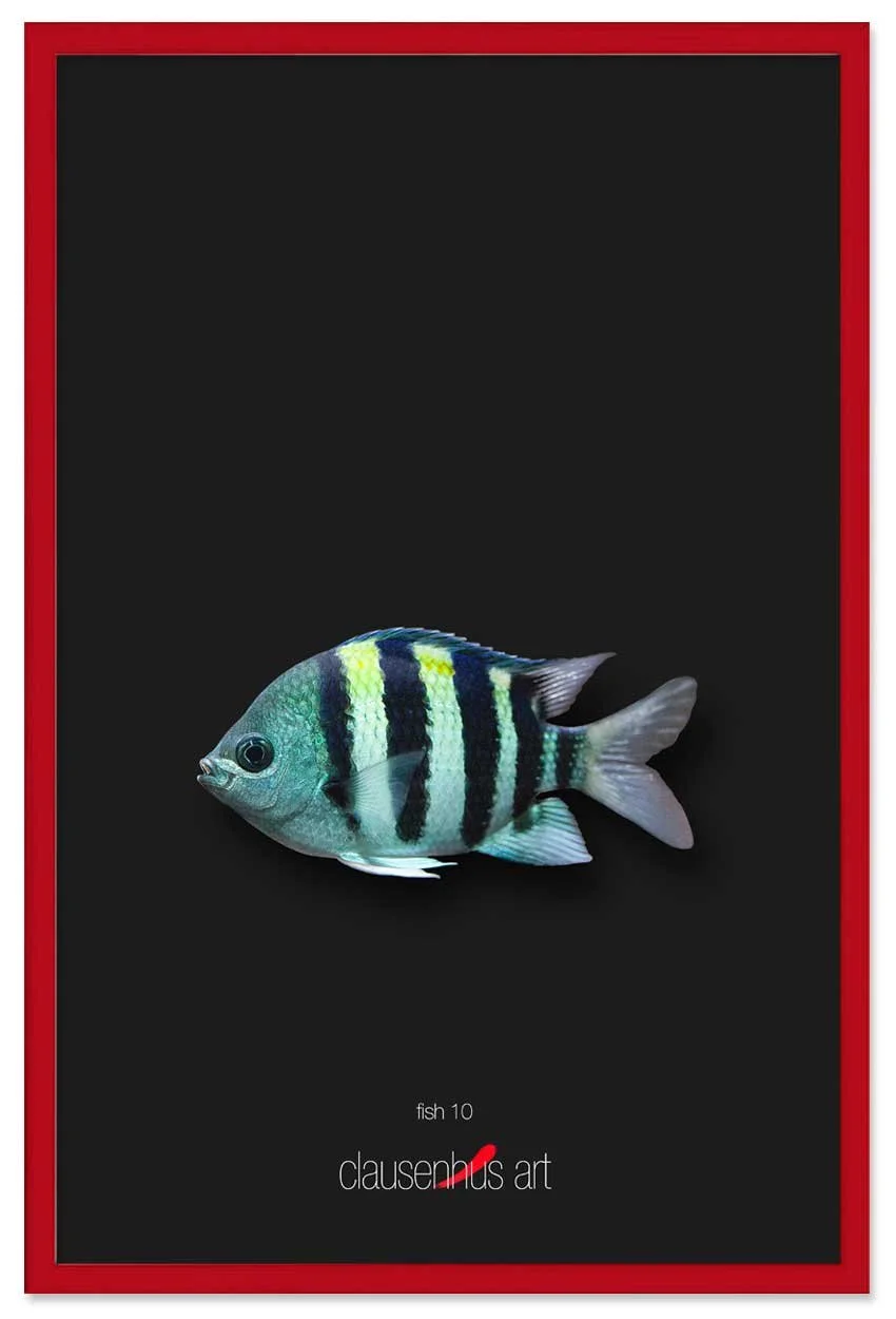fish-10-copy.jpg