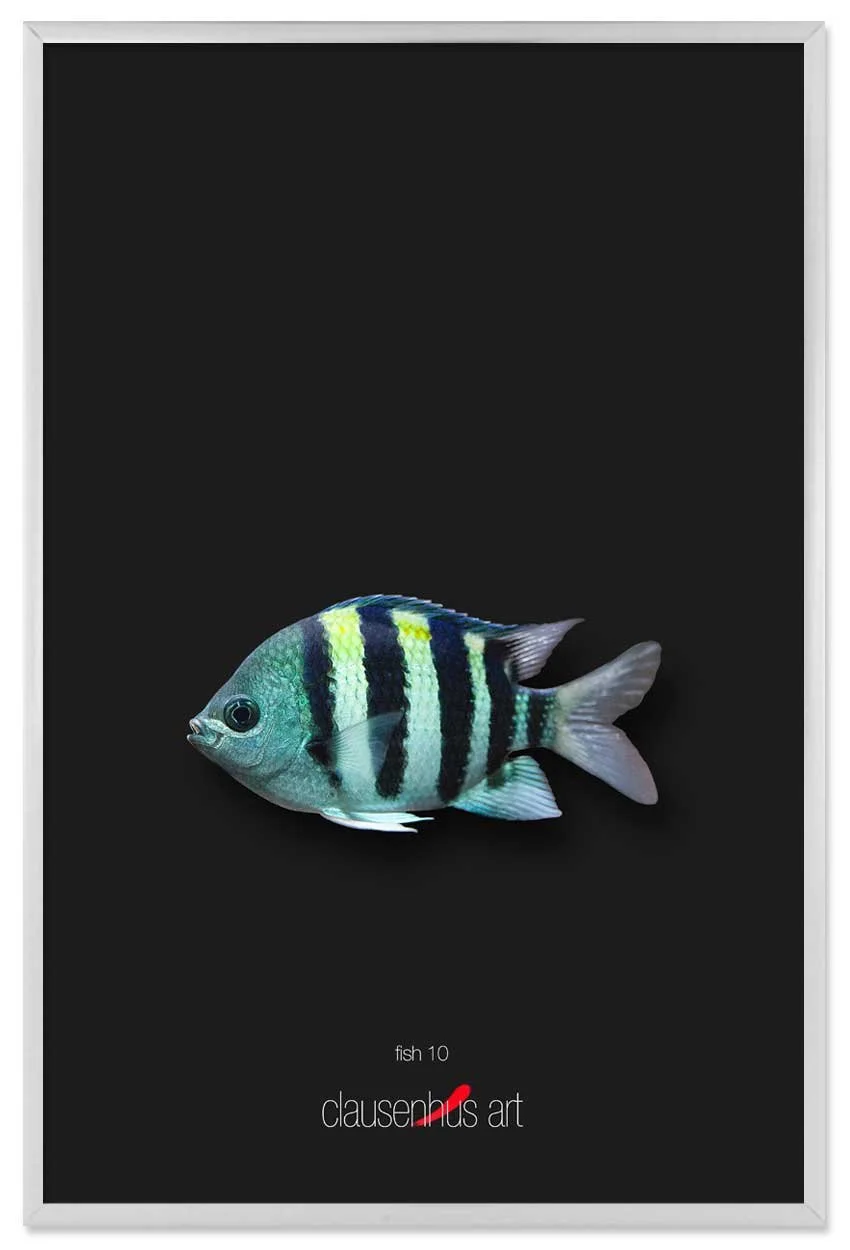 fish-10-copy.jpg