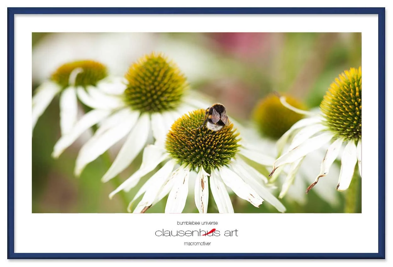 bumblebee-universe-copy.jpg