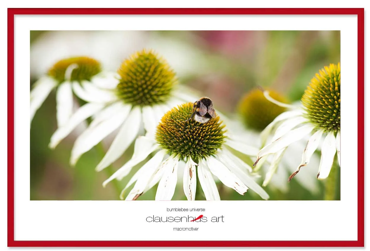 bumblebee-universe-copy.jpg