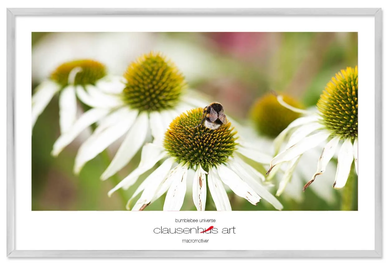 bumblebee-universe-copy.jpg