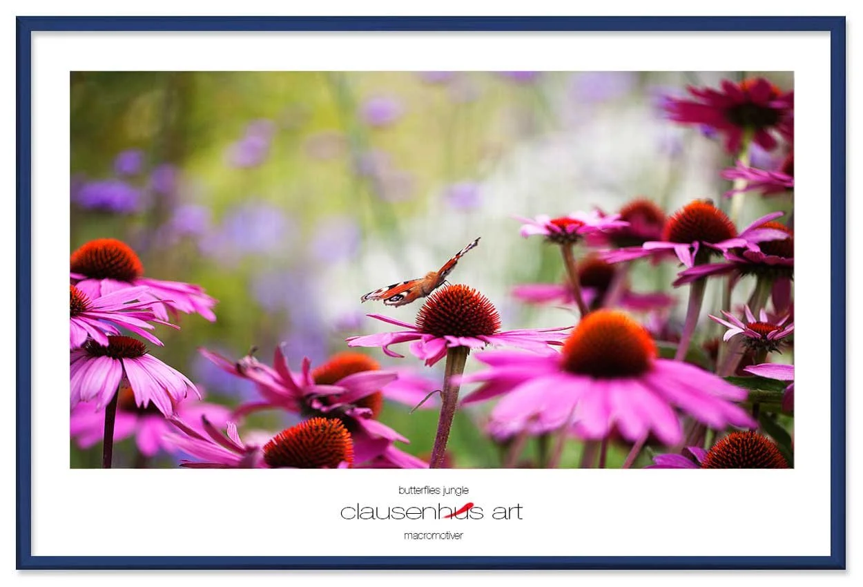 butterflies-jungle-copy.jpg