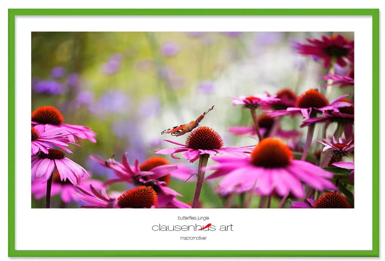 butterflies-jungle-copy.jpg