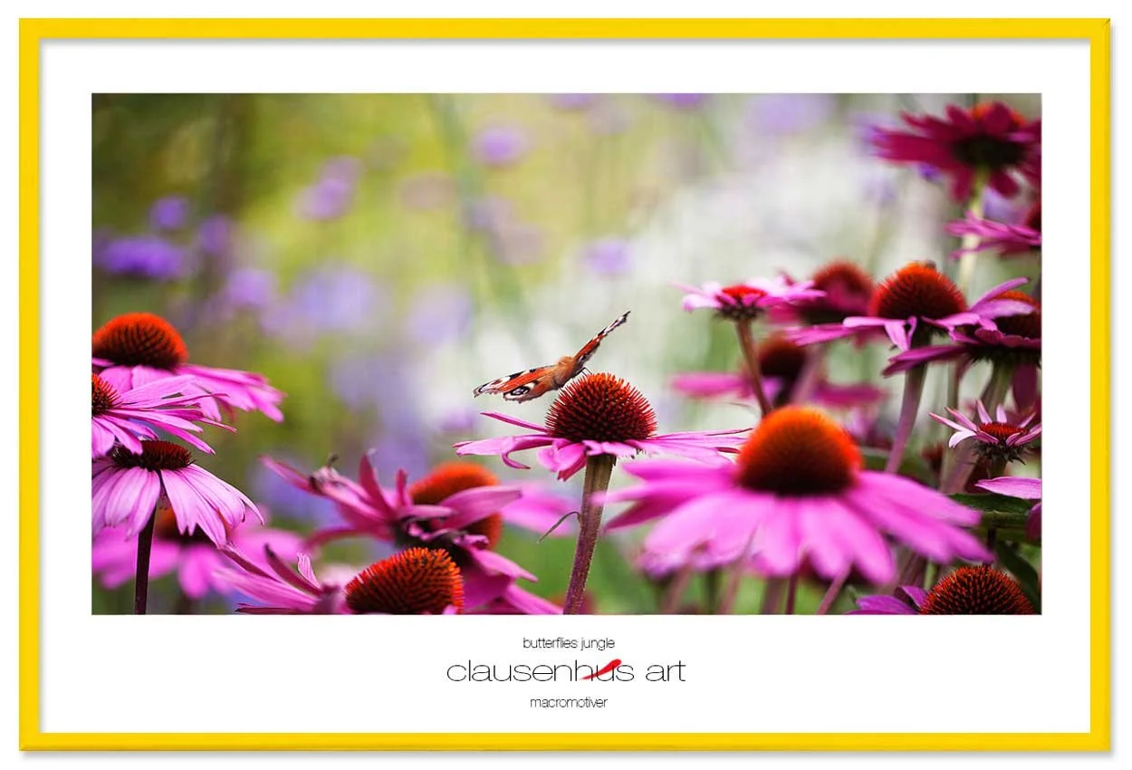 butterflies-jungle-copy.jpg