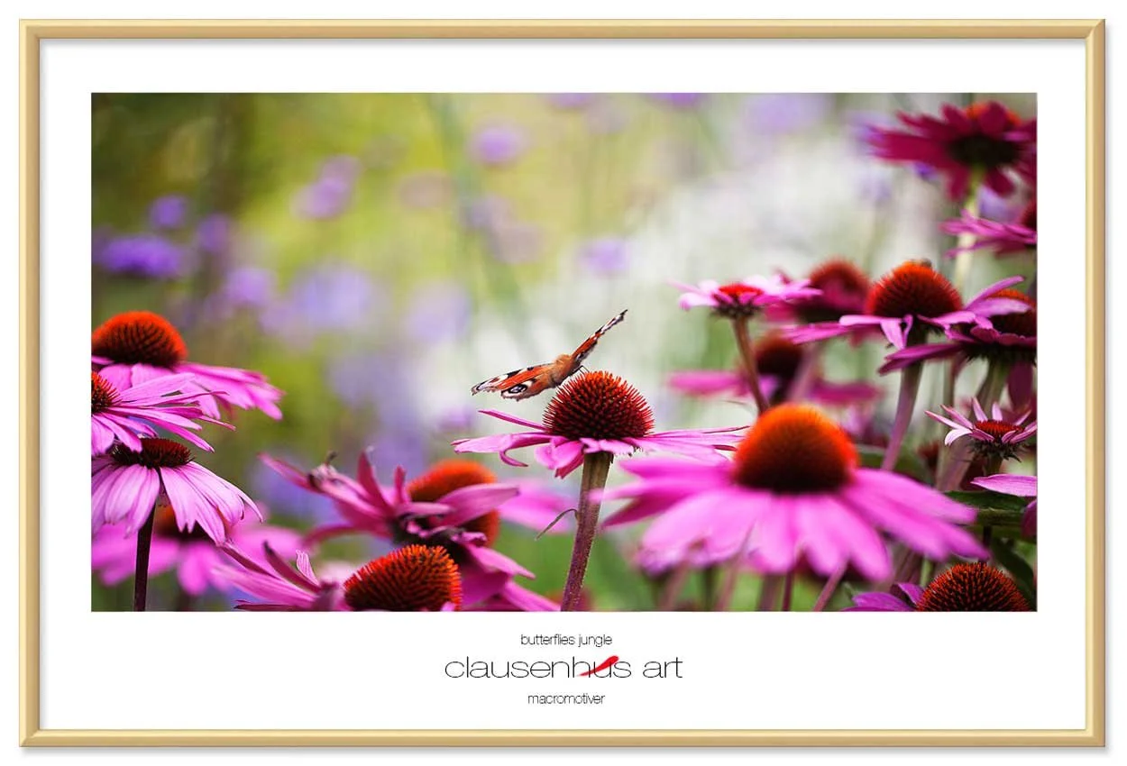 butterflies-jungle-copy.jpg