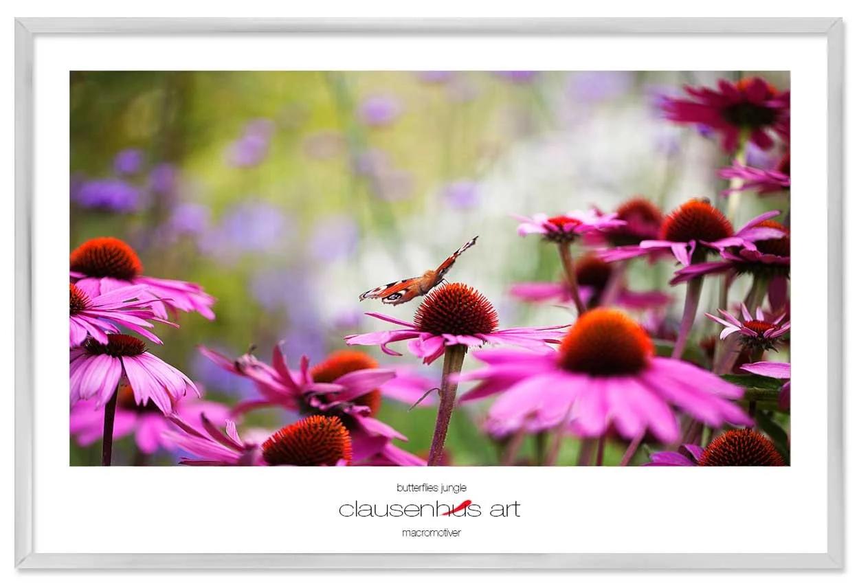 butterflies-jungle-copy.jpg