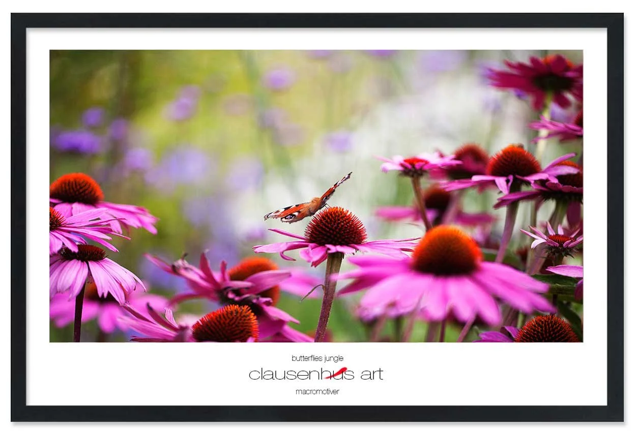 butterflies-jungle-copy.jpg