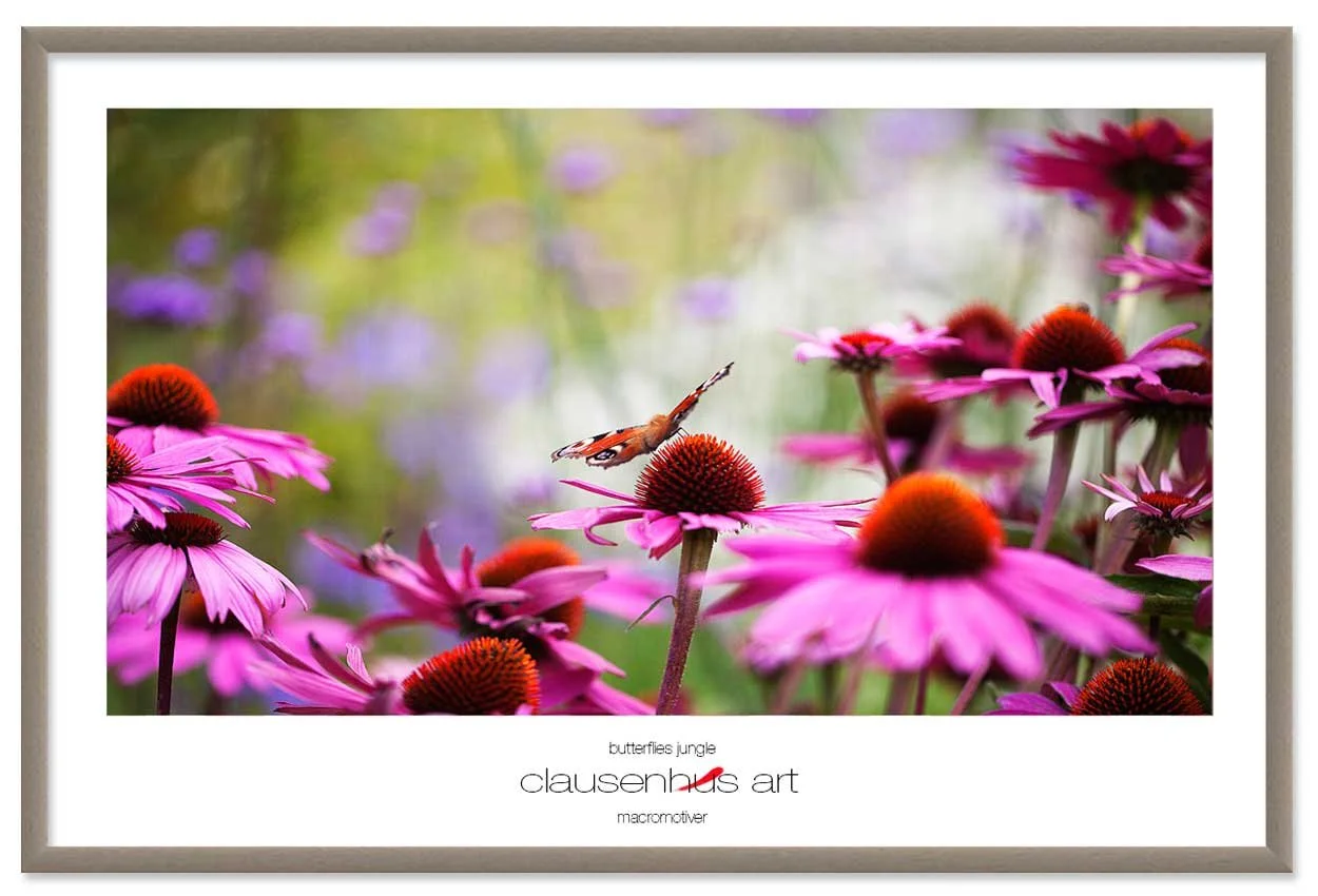 butterflies-jungle-copy.jpg