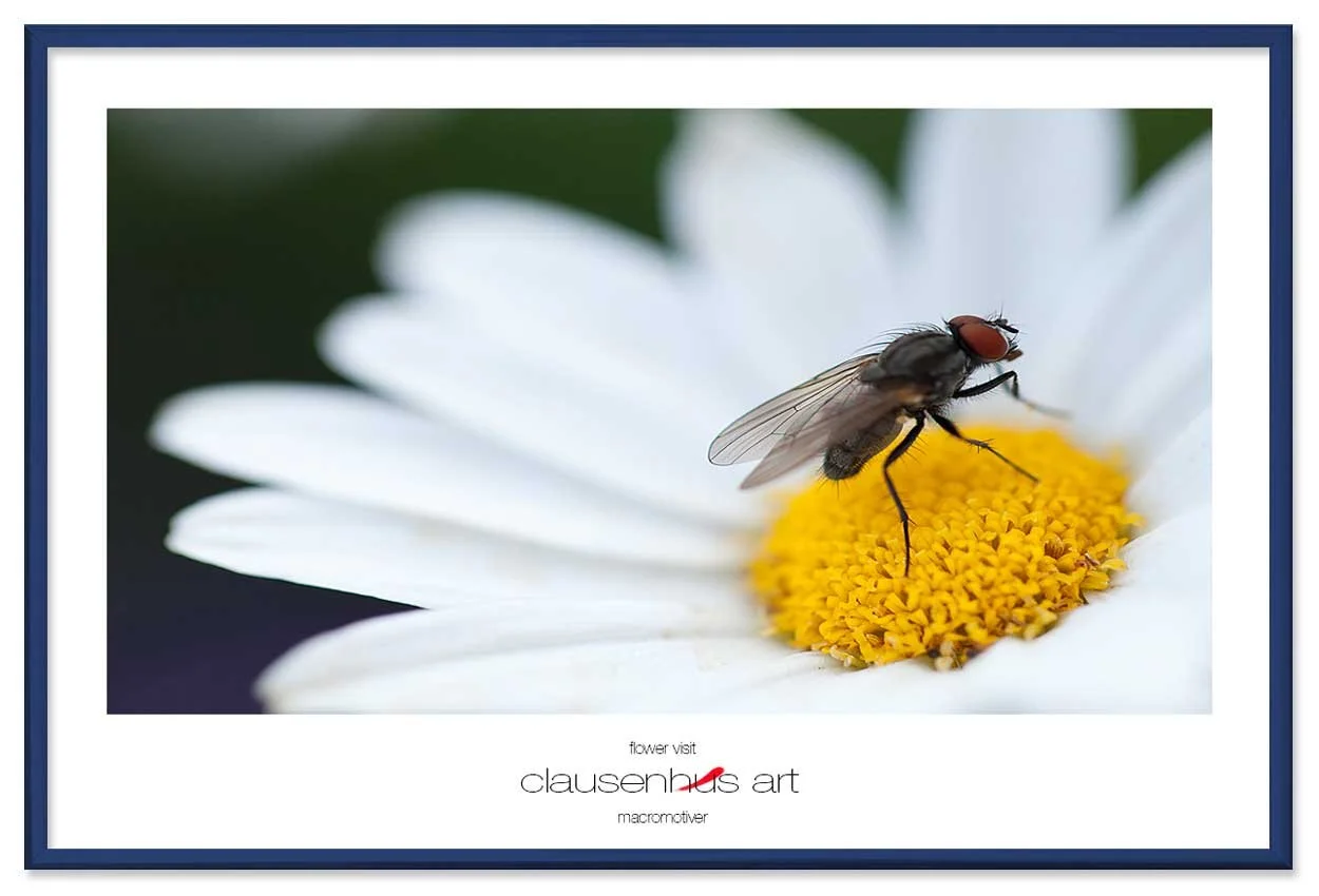 flower-visit-copy.jpg