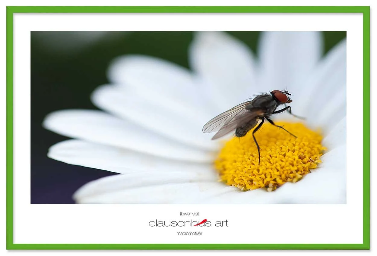 flower-visit-copy.jpg