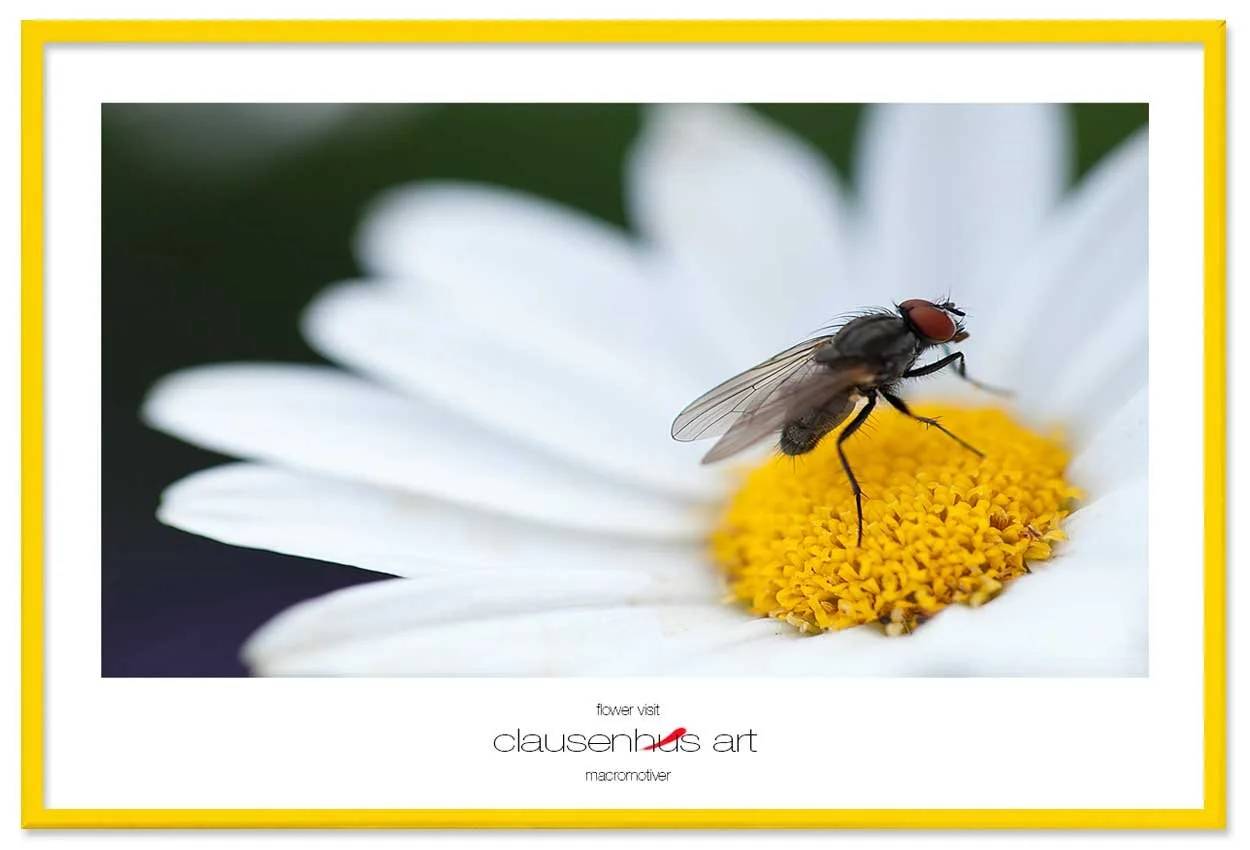 flower-visit-copy.jpg