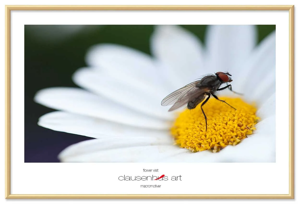 flower-visit-copy.jpg