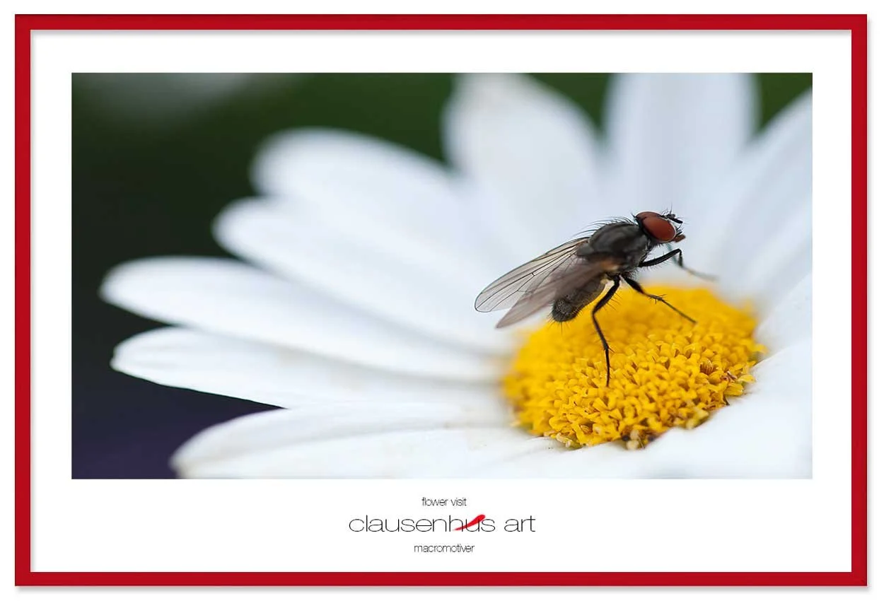 flower-visit-copy.jpg