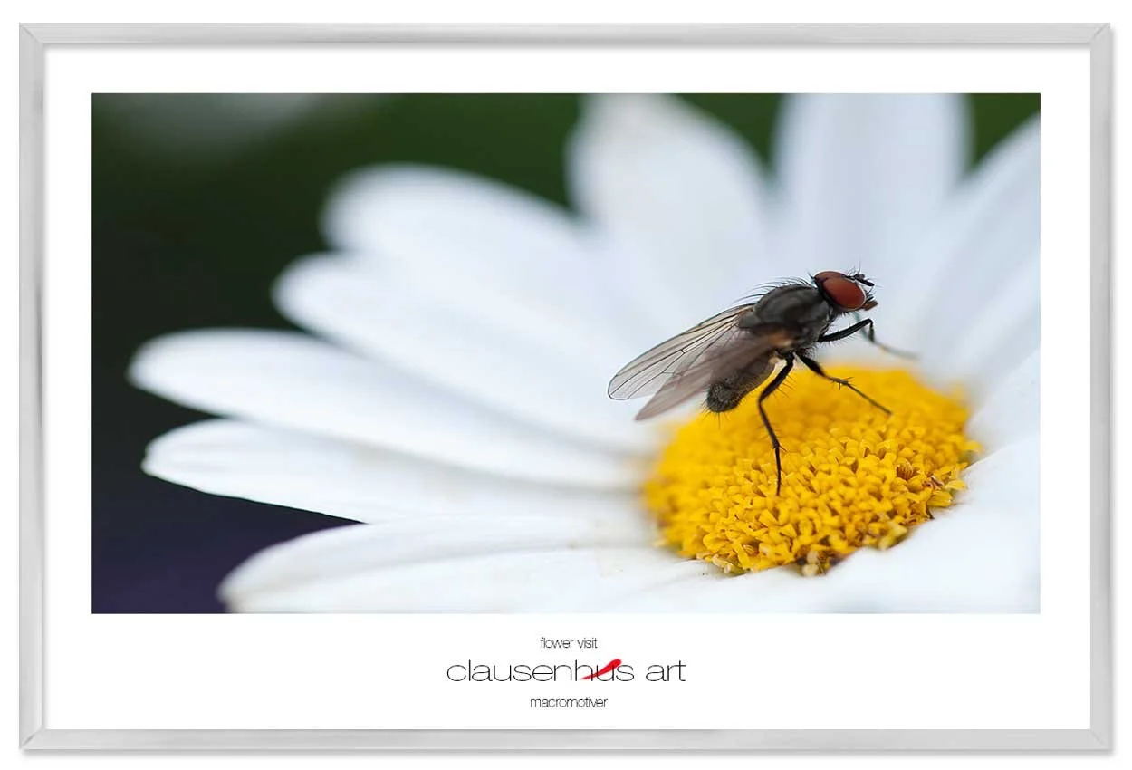 flower-visit-copy.jpg