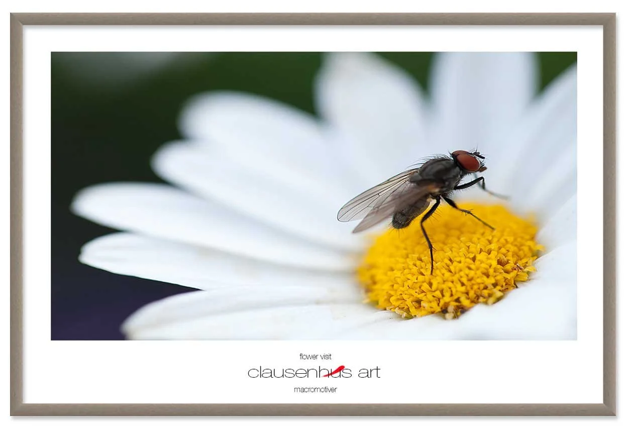 flower-visit-copy.jpg