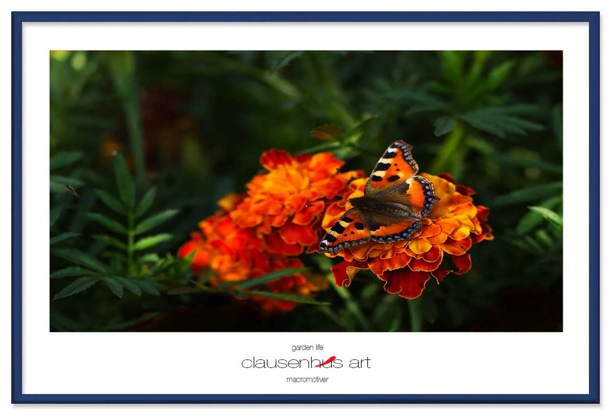 garden-life-copy.jpg