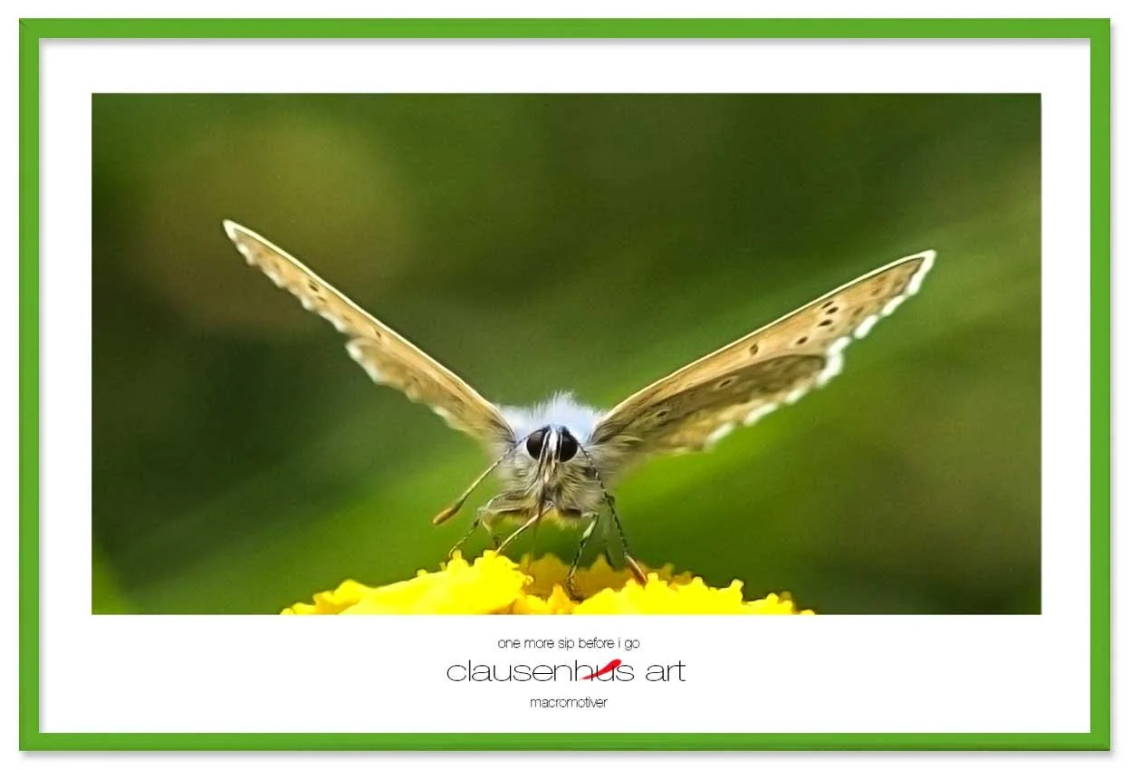 one-more-sip-before-i-go-copy.jpg