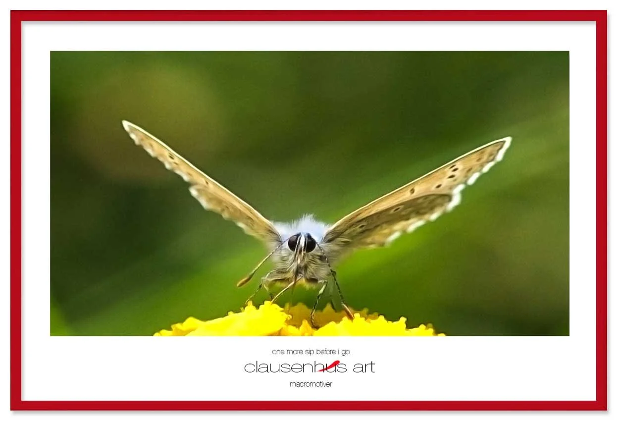 one-more-sip-before-i-go-copy.jpg