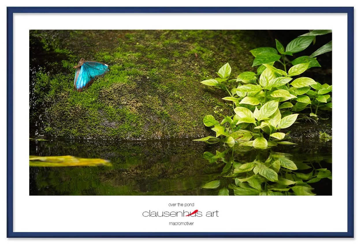 over-the-pond-copy.jpg