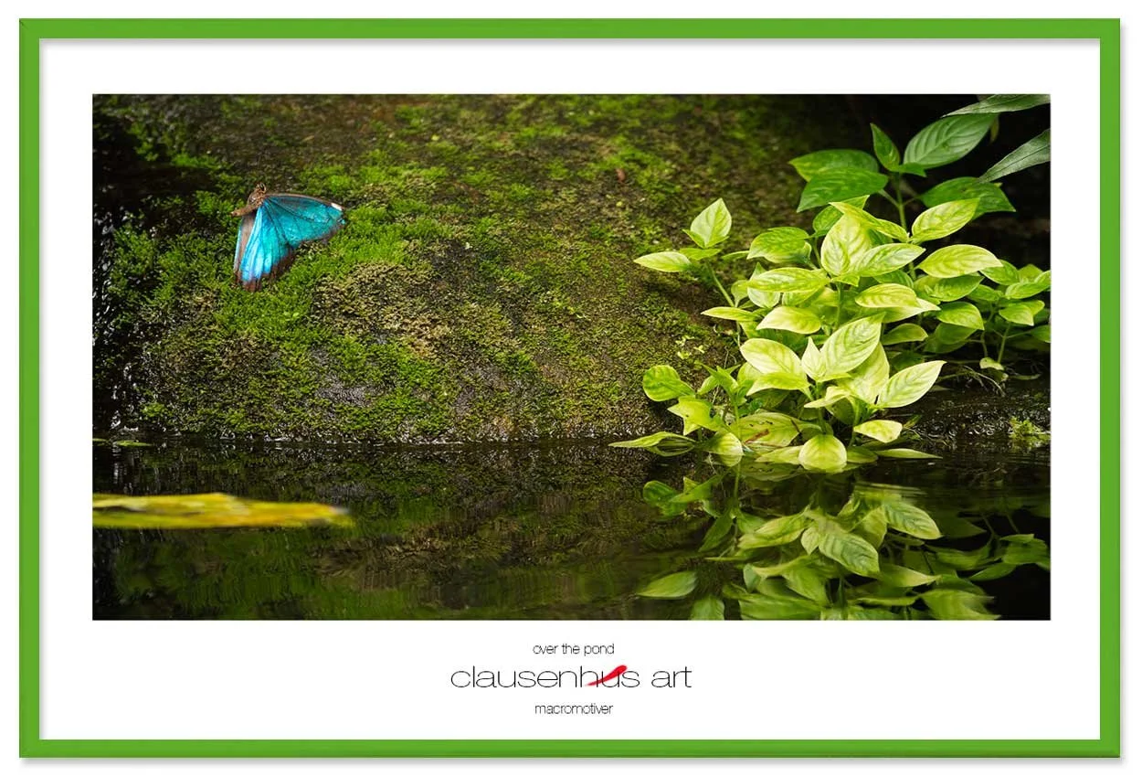 over-the-pond-copy.jpg