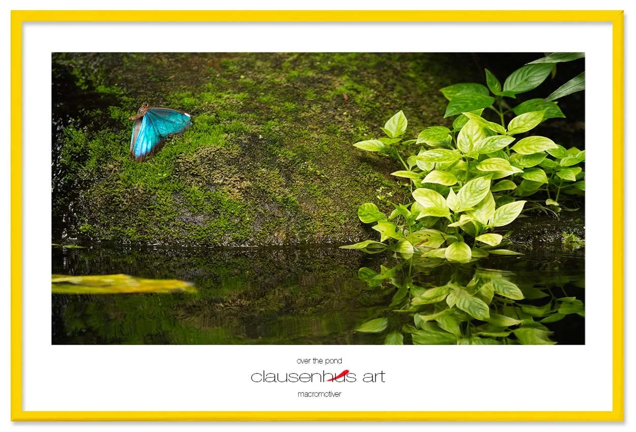 over-the-pond-copy.jpg