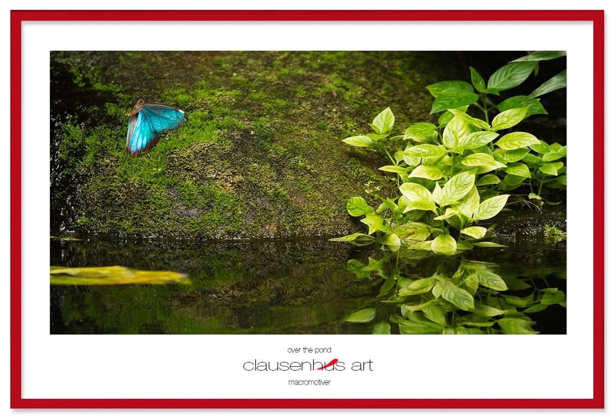 over-the-pond-copy.jpg