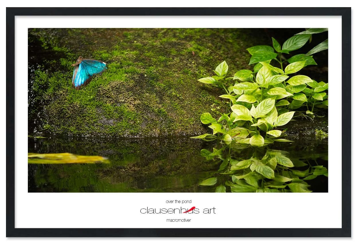 over-the-pond-copy.jpg