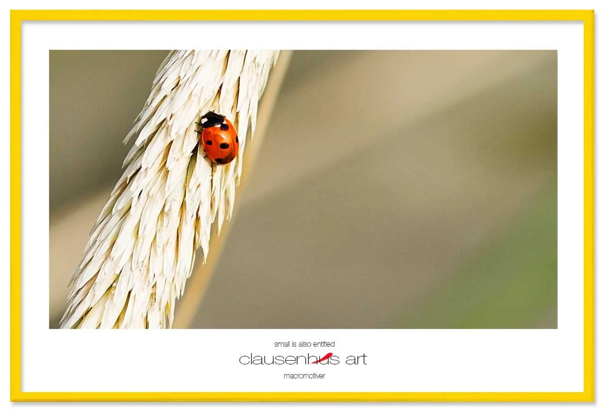 small-is-also-entitled-copy.jpg