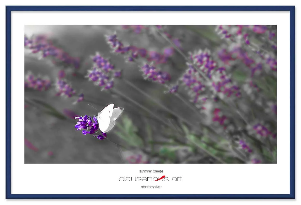 summer-breeze-copy.jpg