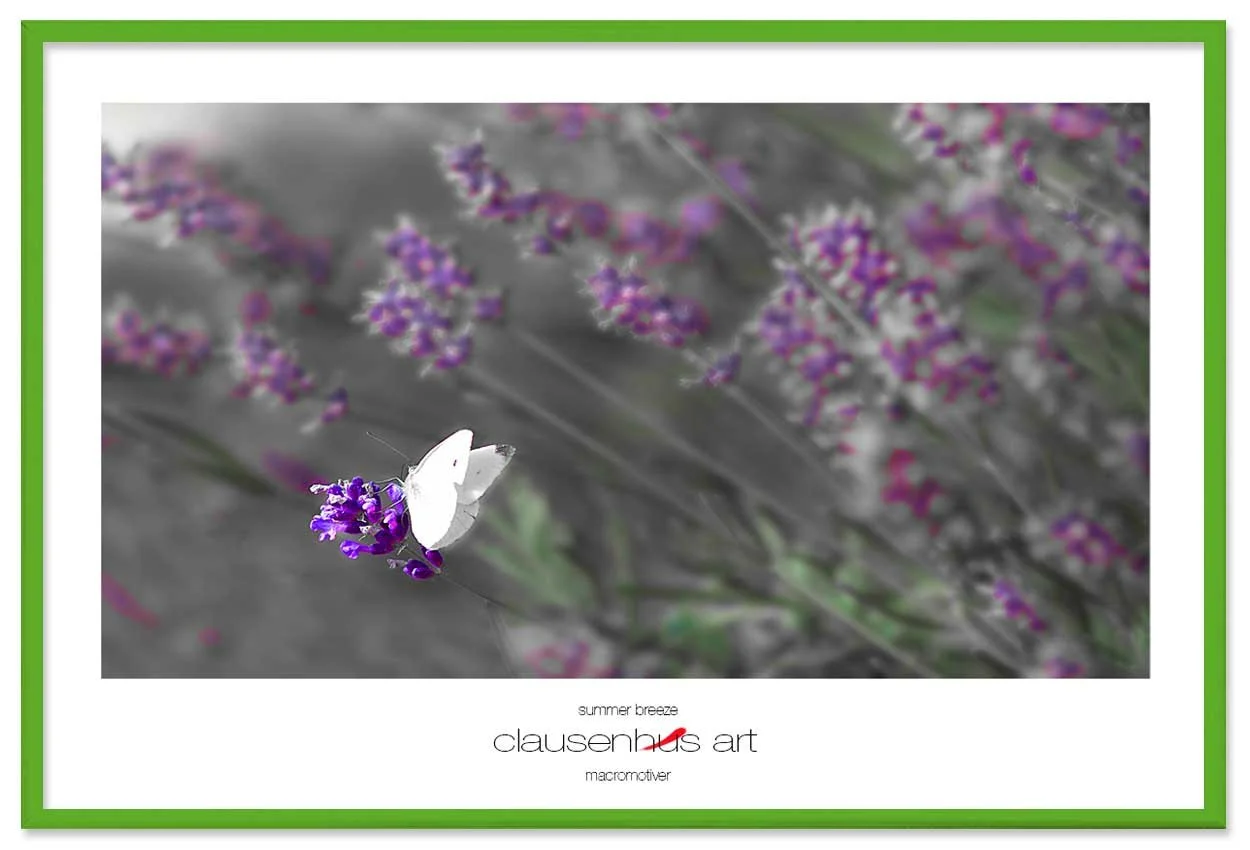 summer-breeze-copy.jpg