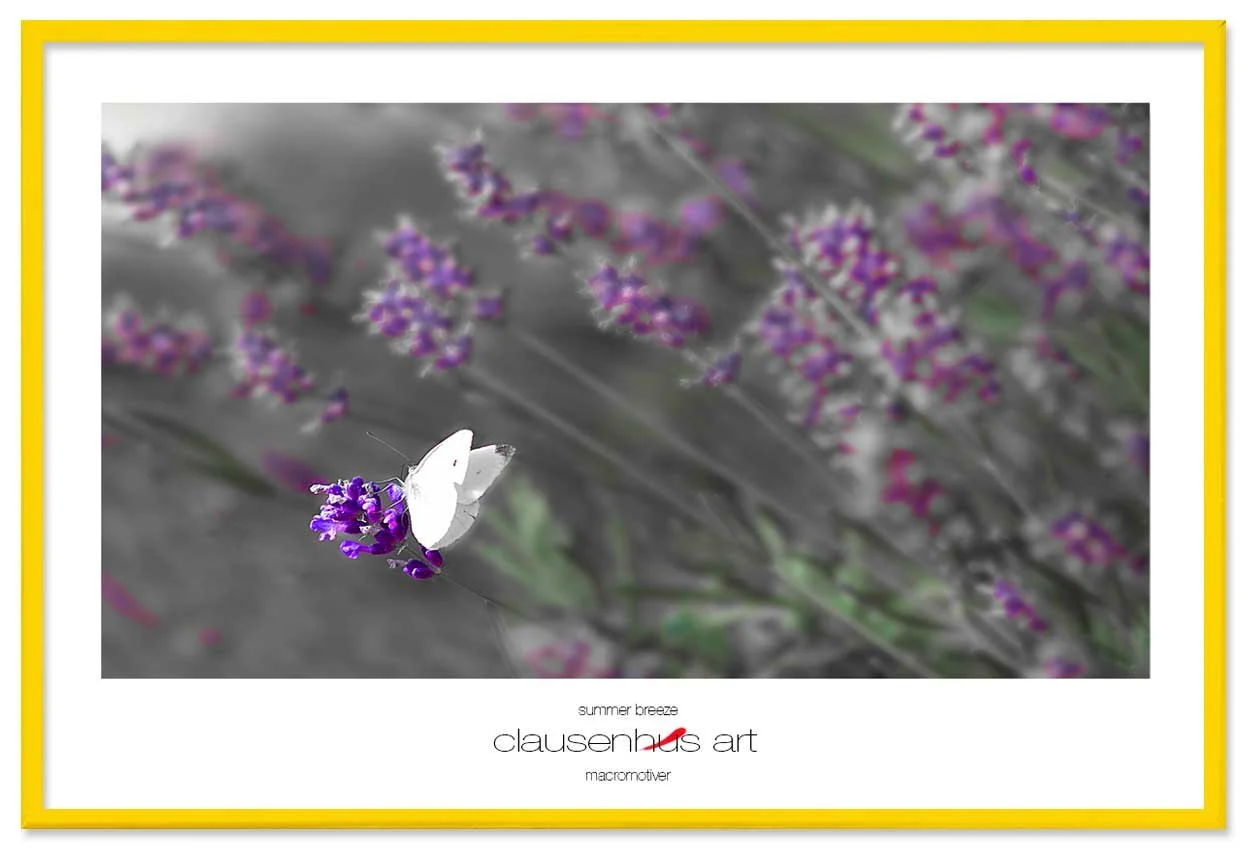 summer-breeze-copy.jpg