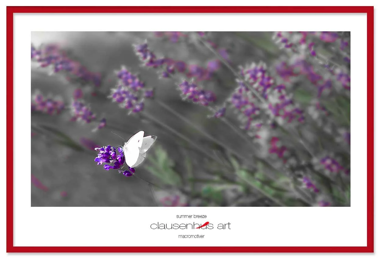 summer-breeze-copy.jpg