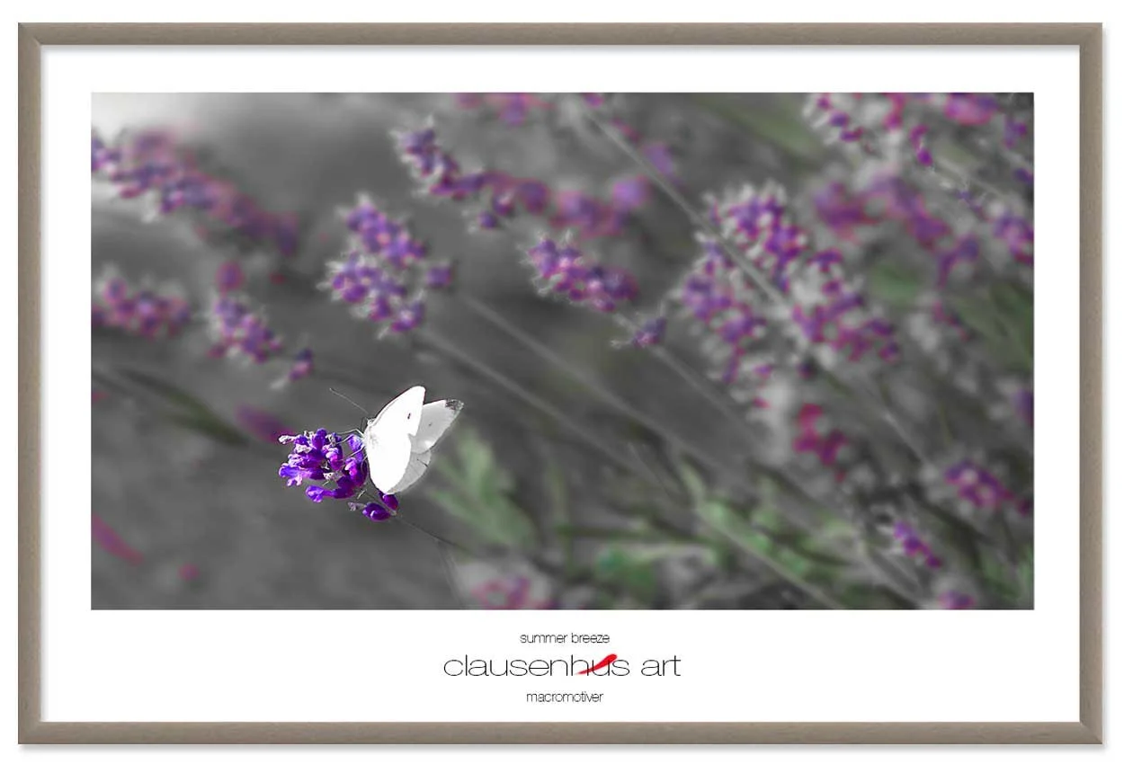 summer-breeze-copy.jpg