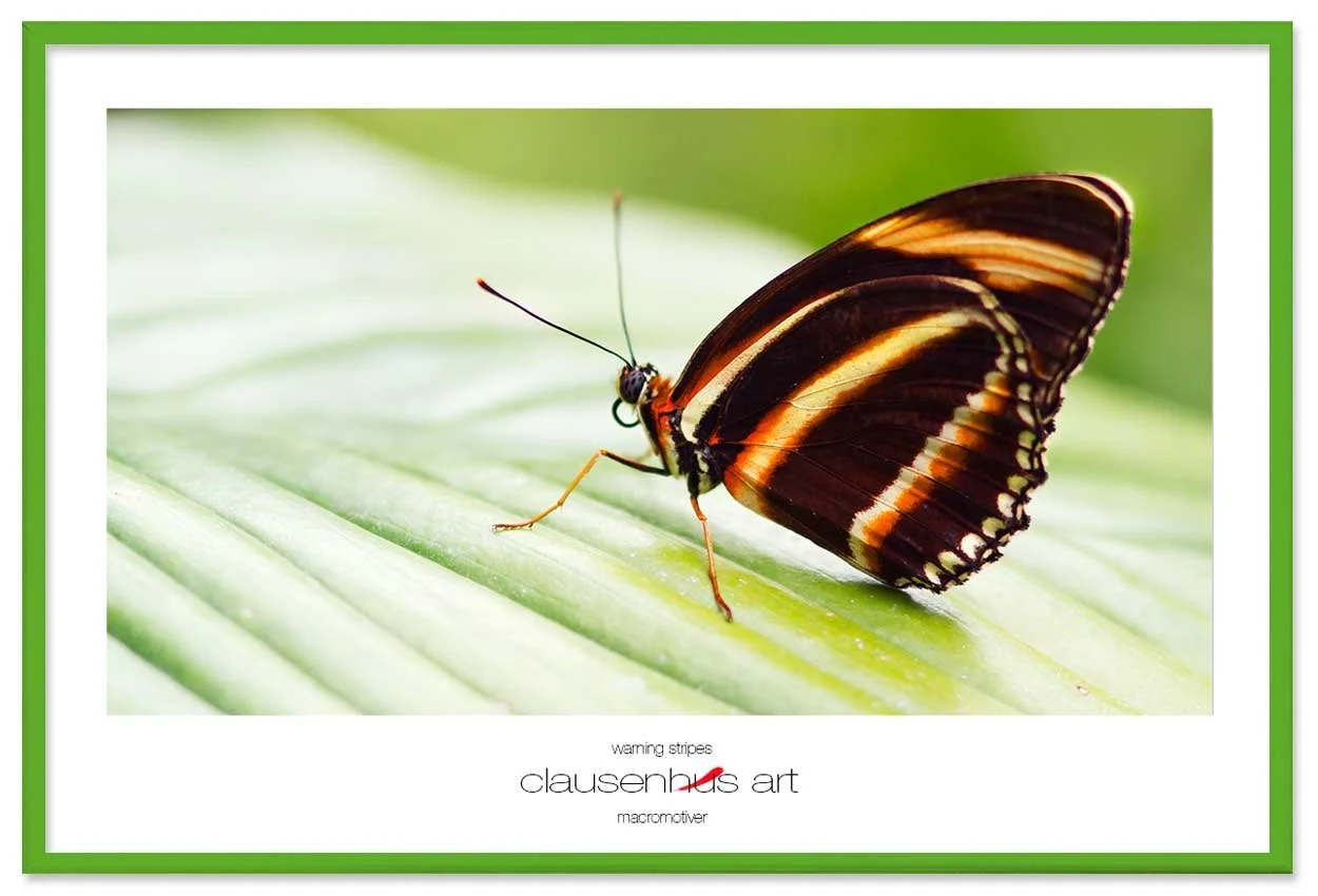 warning-stripes-copy.jpg