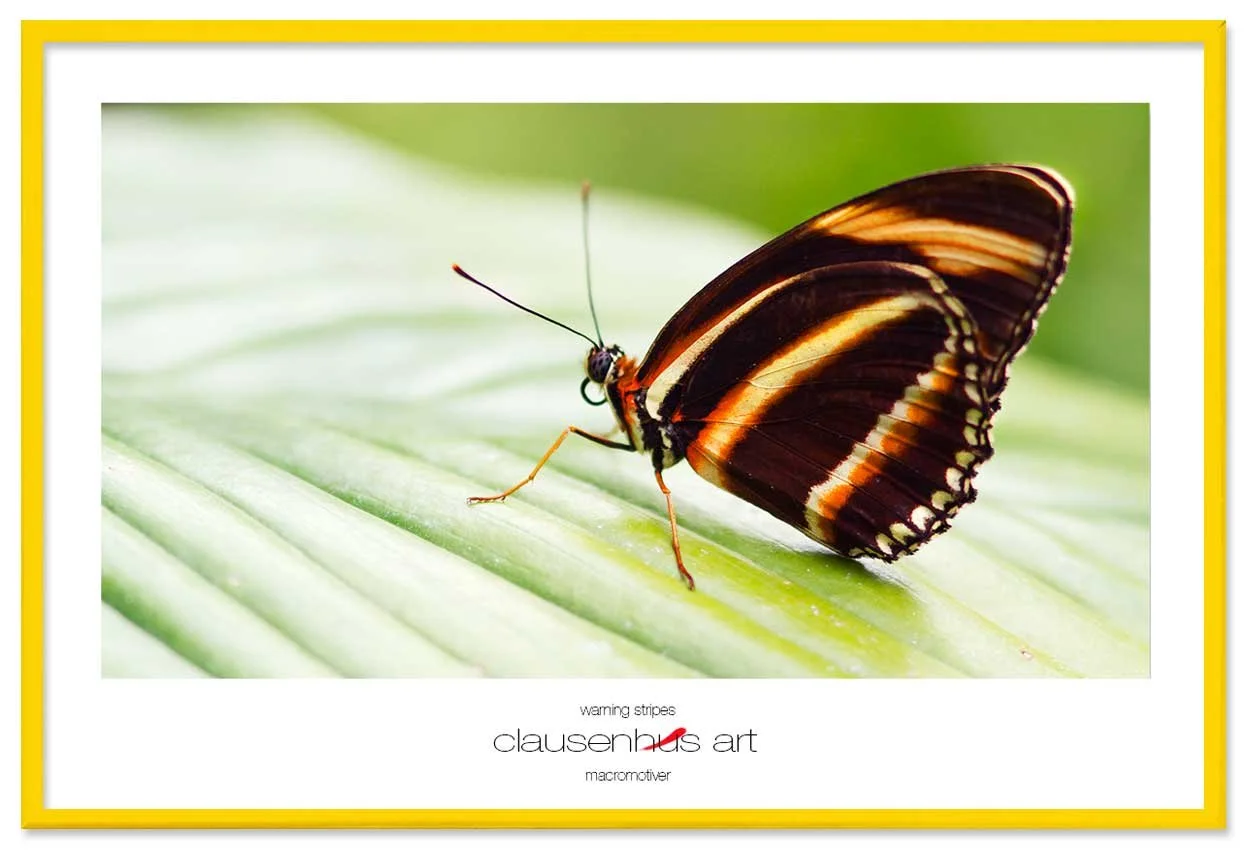 warning-stripes-copy.jpg