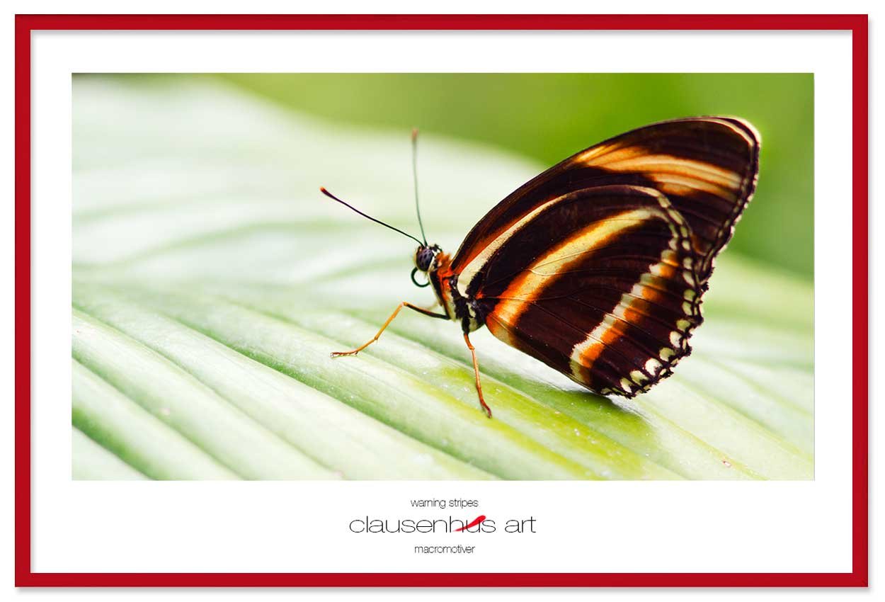 warning-stripes-copy.jpg