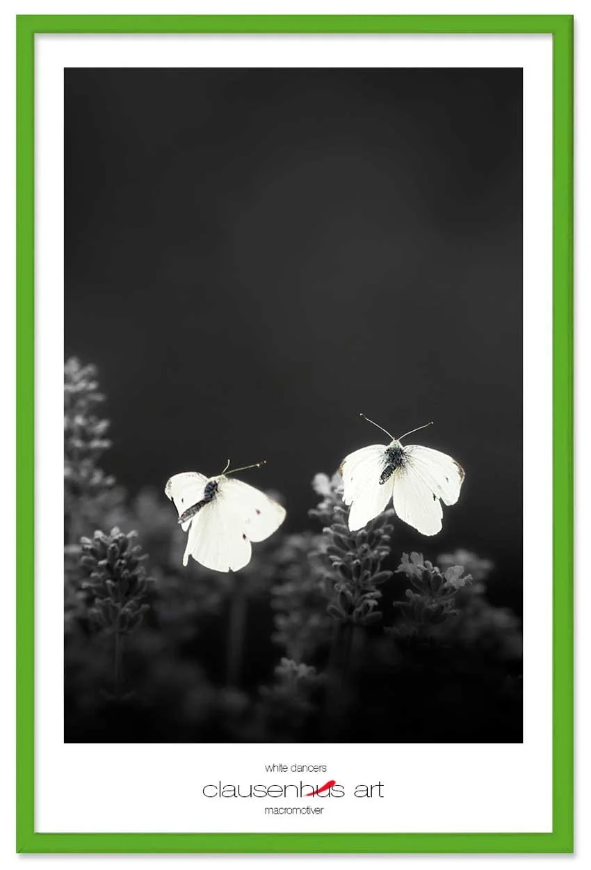 white-dancers-copy.jpg
