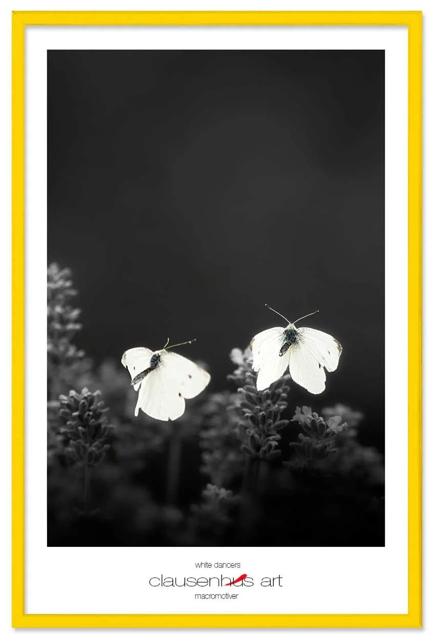 white-dancers-copy.jpg