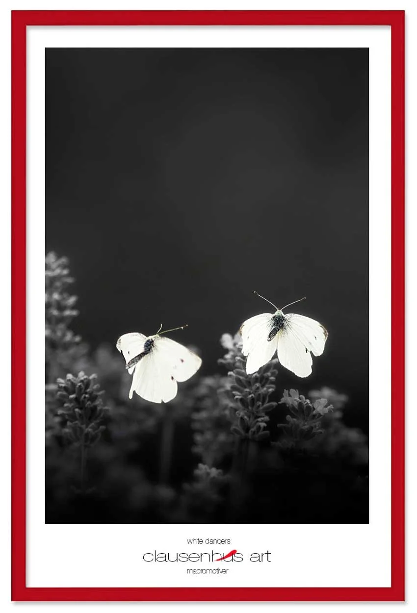 white-dancers-copy.jpg