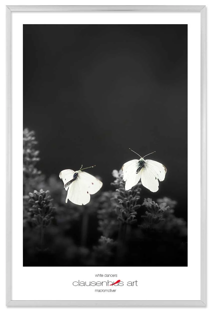 white-dancers-copy.jpg