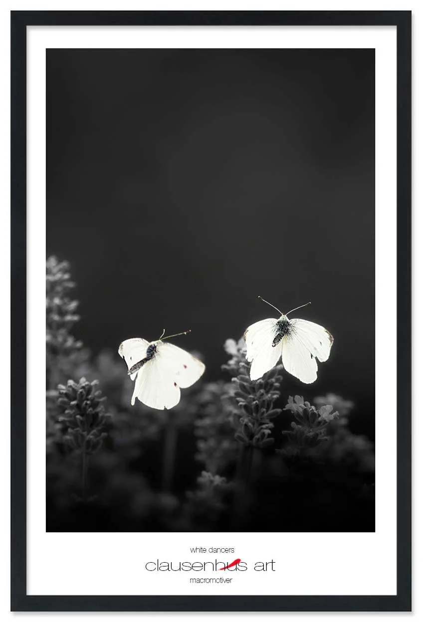 white-dancers-copy.jpg