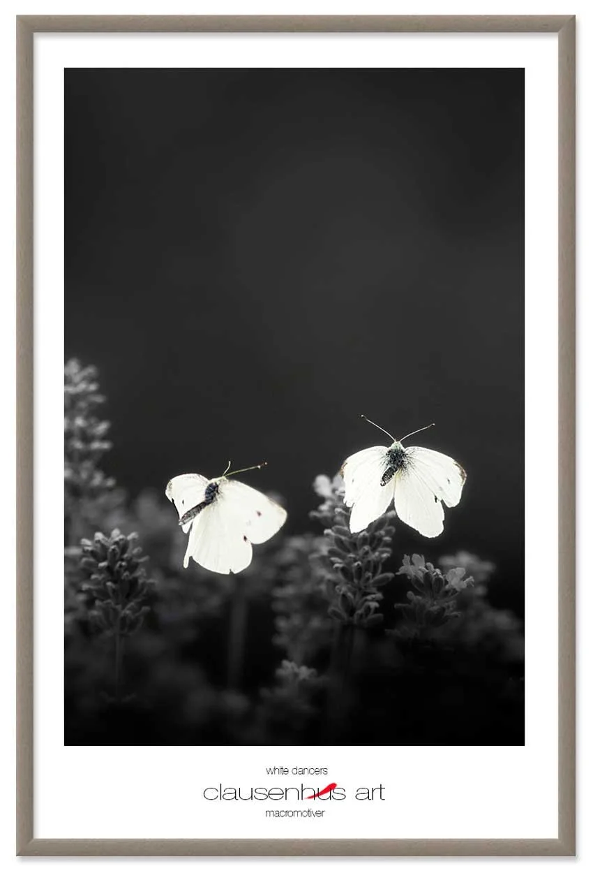 white-dancers-copy.jpg